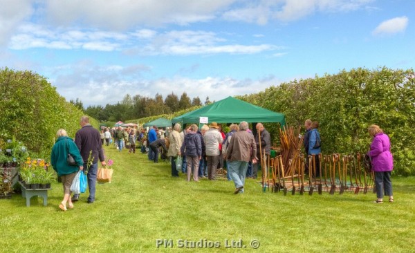 Plant fair main avenue of stalls