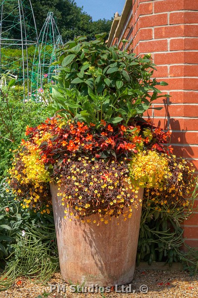 potted flower display