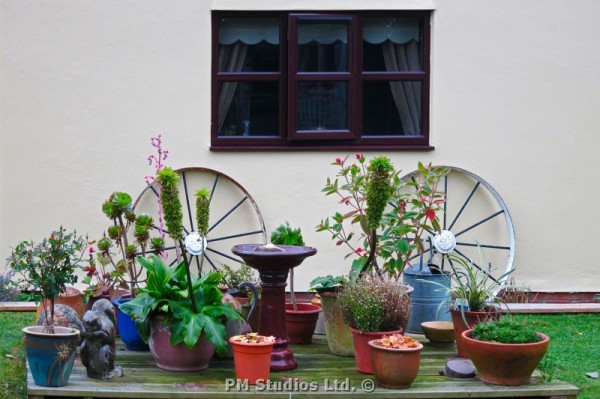 potted plants