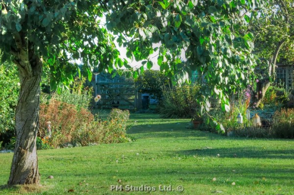 view of garden - low sun