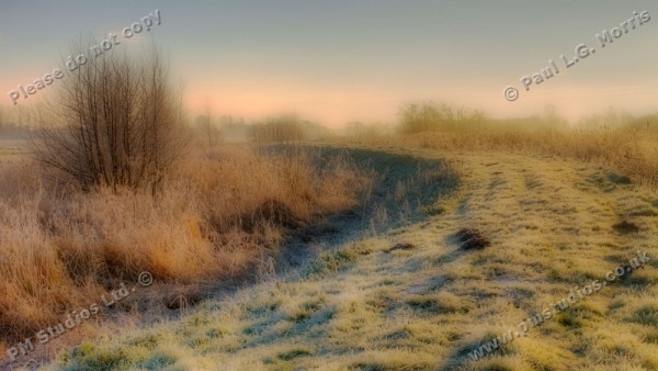 Path by the waveney