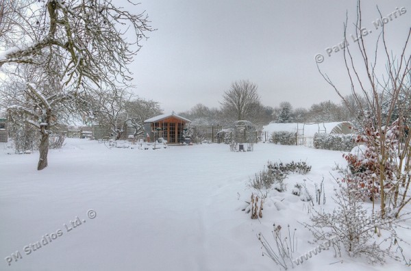 Snow view of the garden