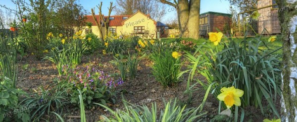 Garden close-in panorama