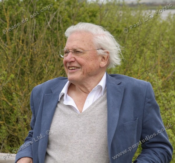 David Attenborough relaxing while waiting for the next interview