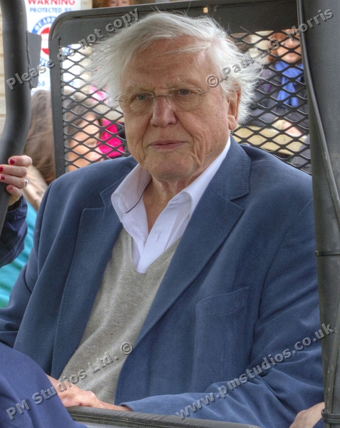 David Attenborough in the buggy