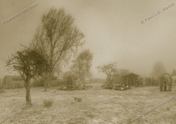 foggy garden sepia