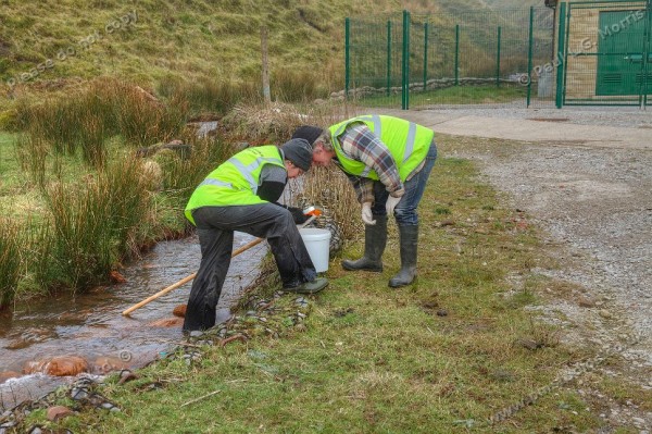 collecting the sample