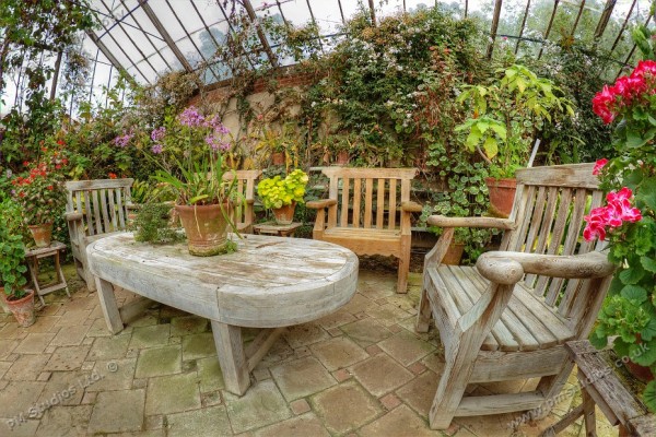 Inside a glasshouse