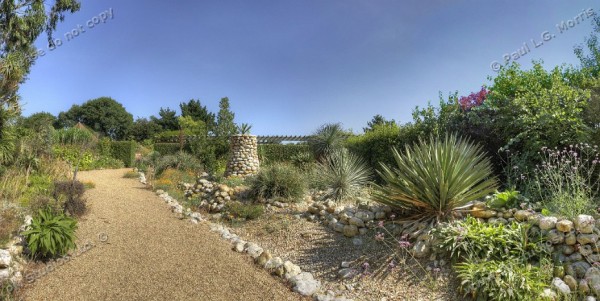 Desert wahs panoramic image