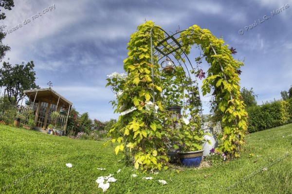 Arbour and summer house