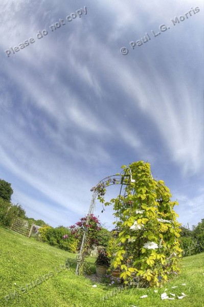 arbour and sky