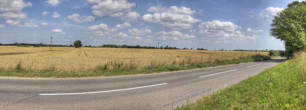 wheat field across the road