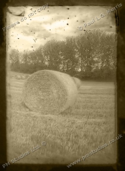 sepia field scene 1