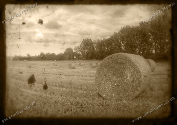 sepia field scene 3