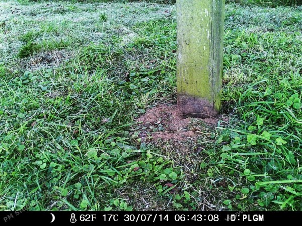 hole by fence post