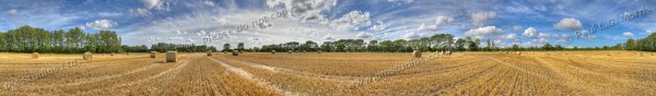 360 degree farm field