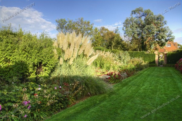 Autumn Garden