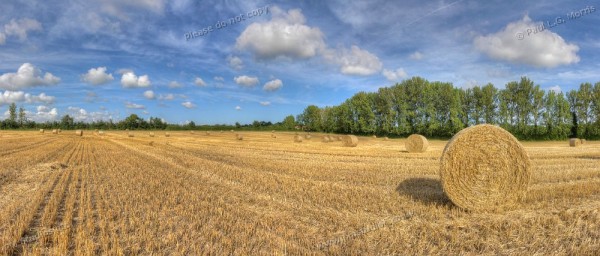 Summer panoramic view of farmland