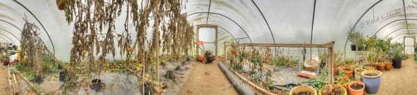 Nearscape: winter inside the polytunnel