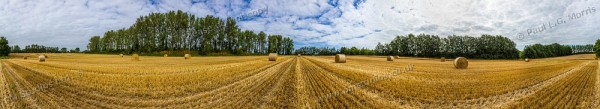 field after harvest - 1