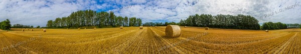 field after harvest - 2