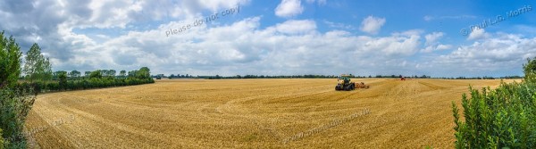 pano with tractor mid august