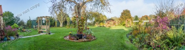 garden from back door pano