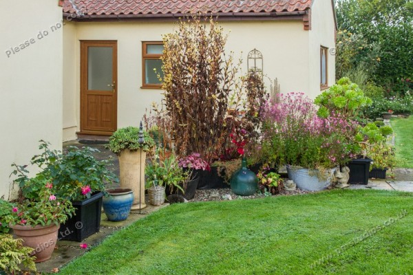 display of flowers in pots