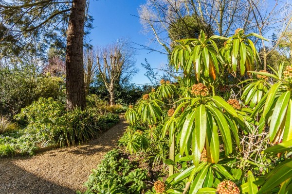 fish-eye view