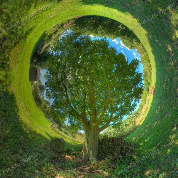 little planet inverted