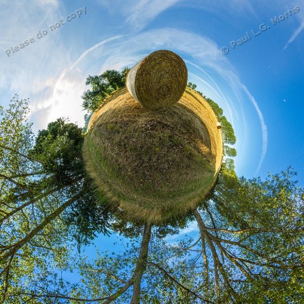 Regular Little Planet