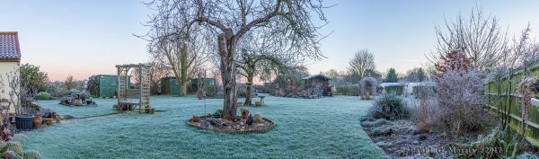 garden pano in the frost