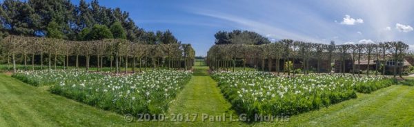 Panorama near the walled garden