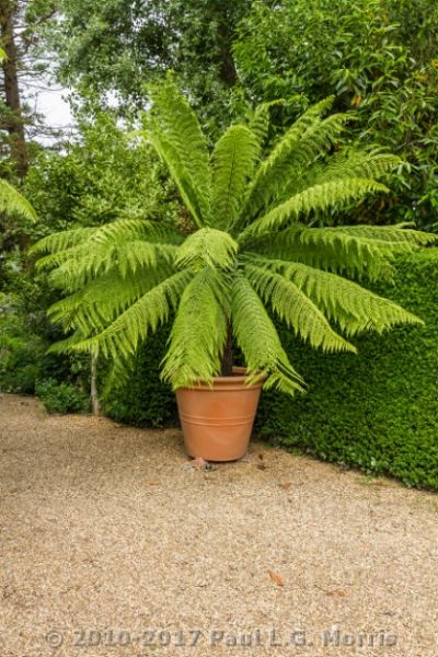 EROV gardens on plant fair day