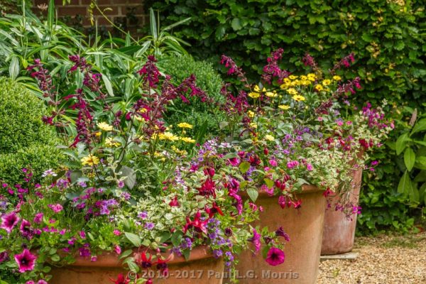 EROV gardens on plant fair day