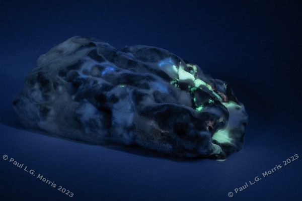 Mouldy cucumber in UV light